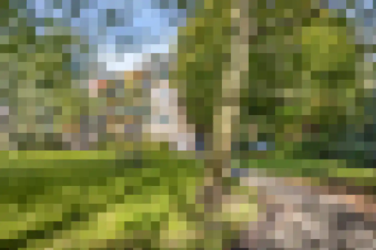 Roggebotstraat 28 Purmerend thumbnail 44