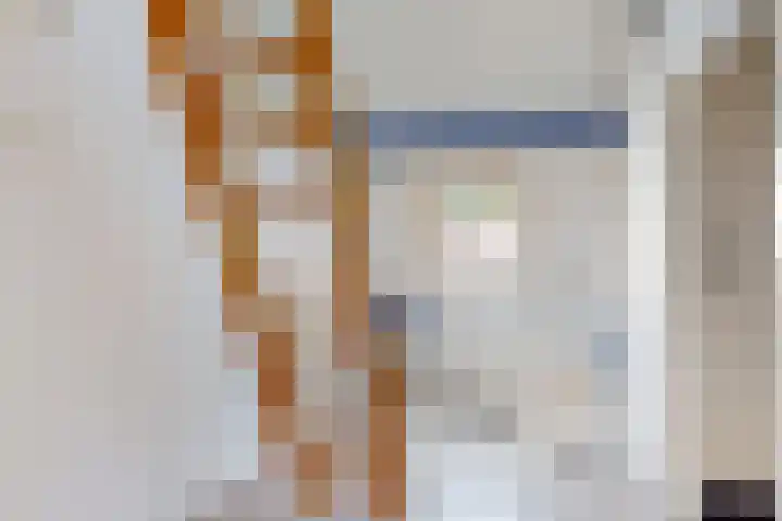 Roggebroodshof 1 Leiden thumbnail 13