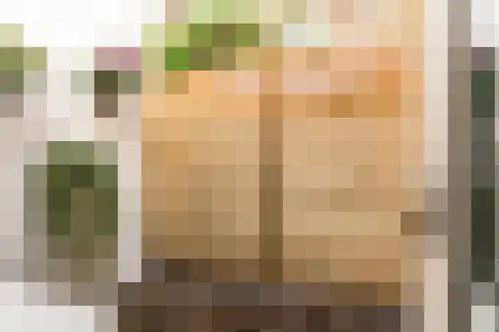 Roggebroodshof 1 Leiden thumbnail 20