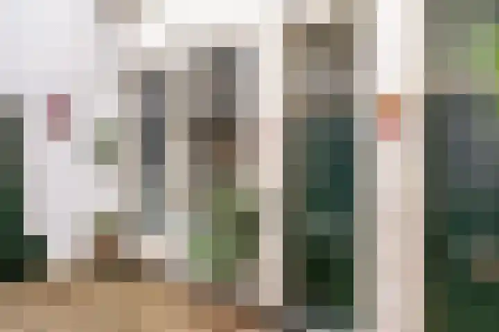 Roggebroodshof 1 Leiden thumbnail 24