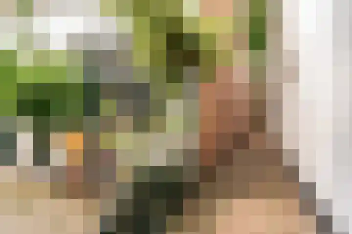 Roggebroodshof 1 Leiden thumbnail 26