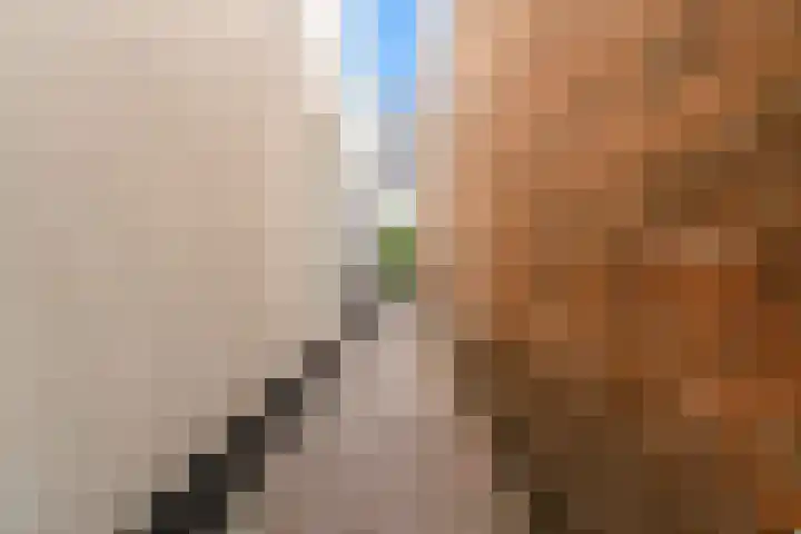Roggebroodshof 1 Leiden thumbnail 29