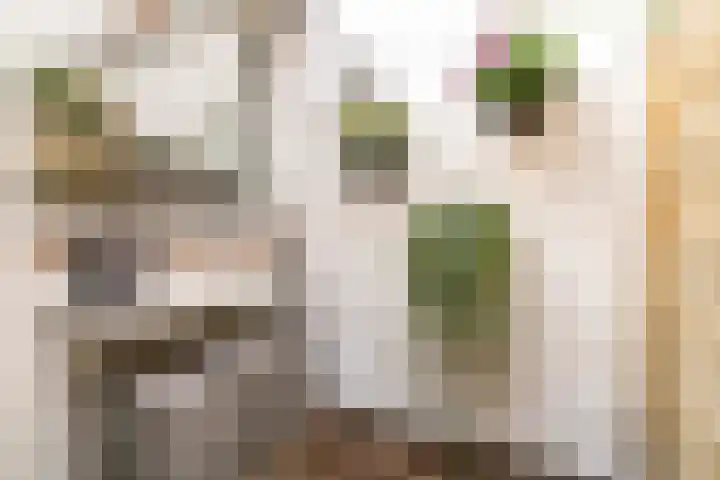 Roggebroodshof 1 Leiden thumbnail 4