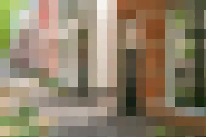 Roggebroodshof 1 Leiden thumbnail 6