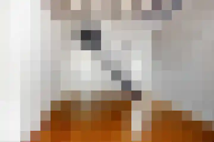 Roggebroodshof 1 Leiden thumbnail 7