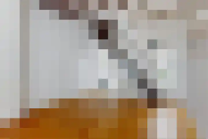 Roggebroodshof 1 Leiden thumbnail 8
