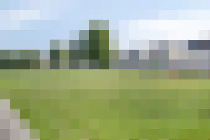 Roggehegge 57 Maastricht thumbnail 25