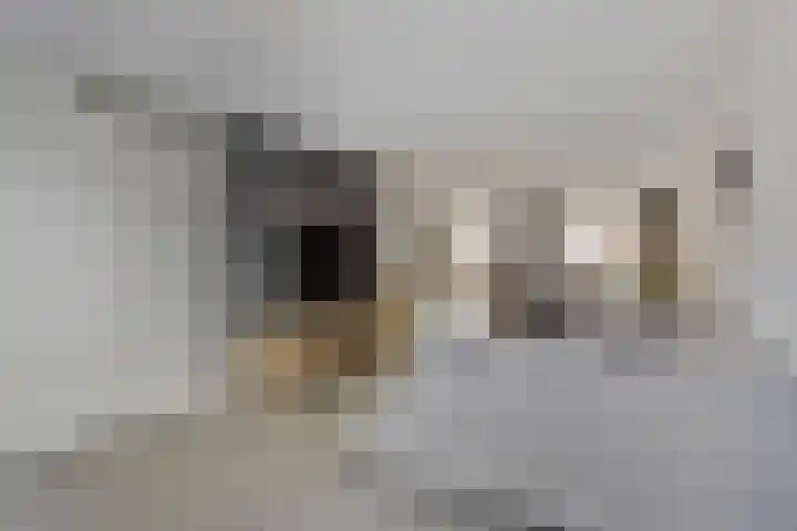Roggehegge 57 Maastricht thumbnail 4