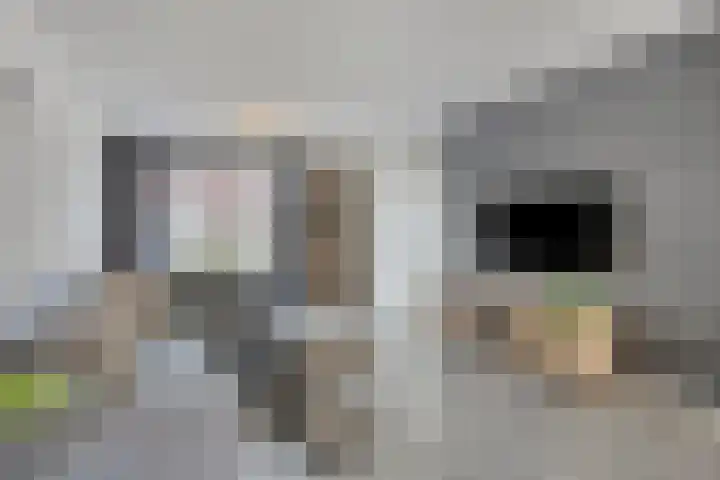 Roggehegge 57 Maastricht thumbnail 5