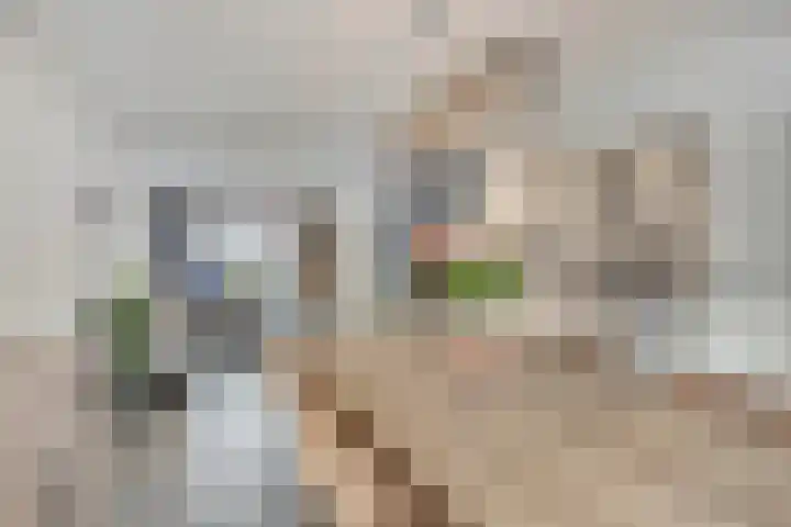 Roggehegge 57 Maastricht thumbnail 8