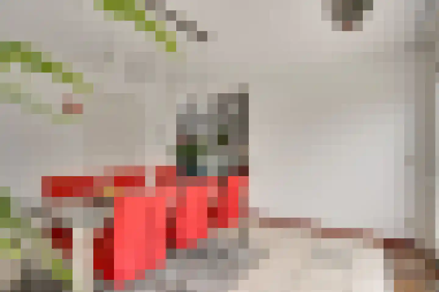 Roggehegge 7 Maastricht thumbnail 9