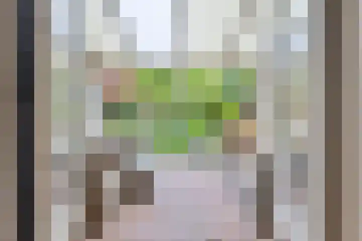 Roggehullen 22 Assen thumbnail 18