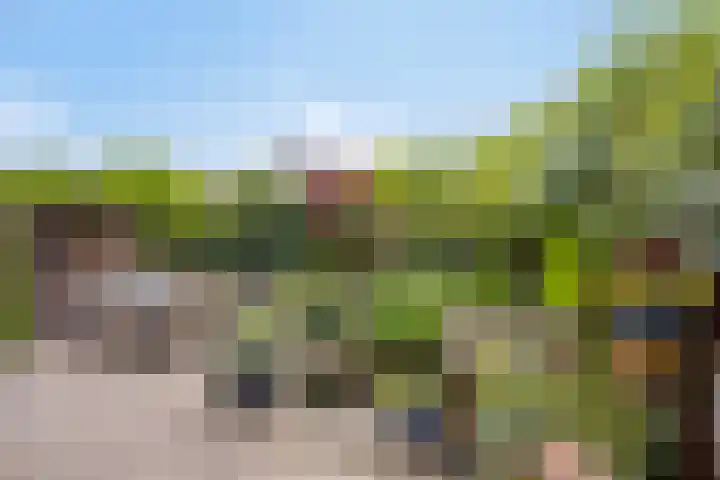 Roggehullen 22 Assen thumbnail 43