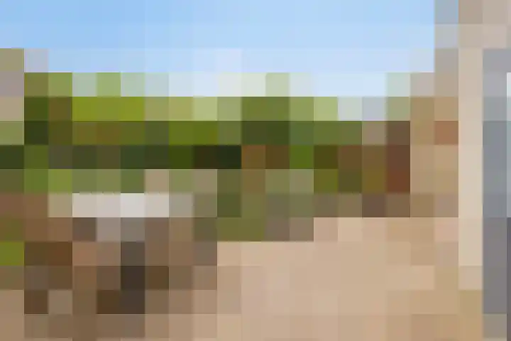 Roggehullen 22 Assen thumbnail 44