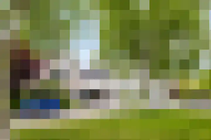 Roggehullen 22 Assen thumbnail 49