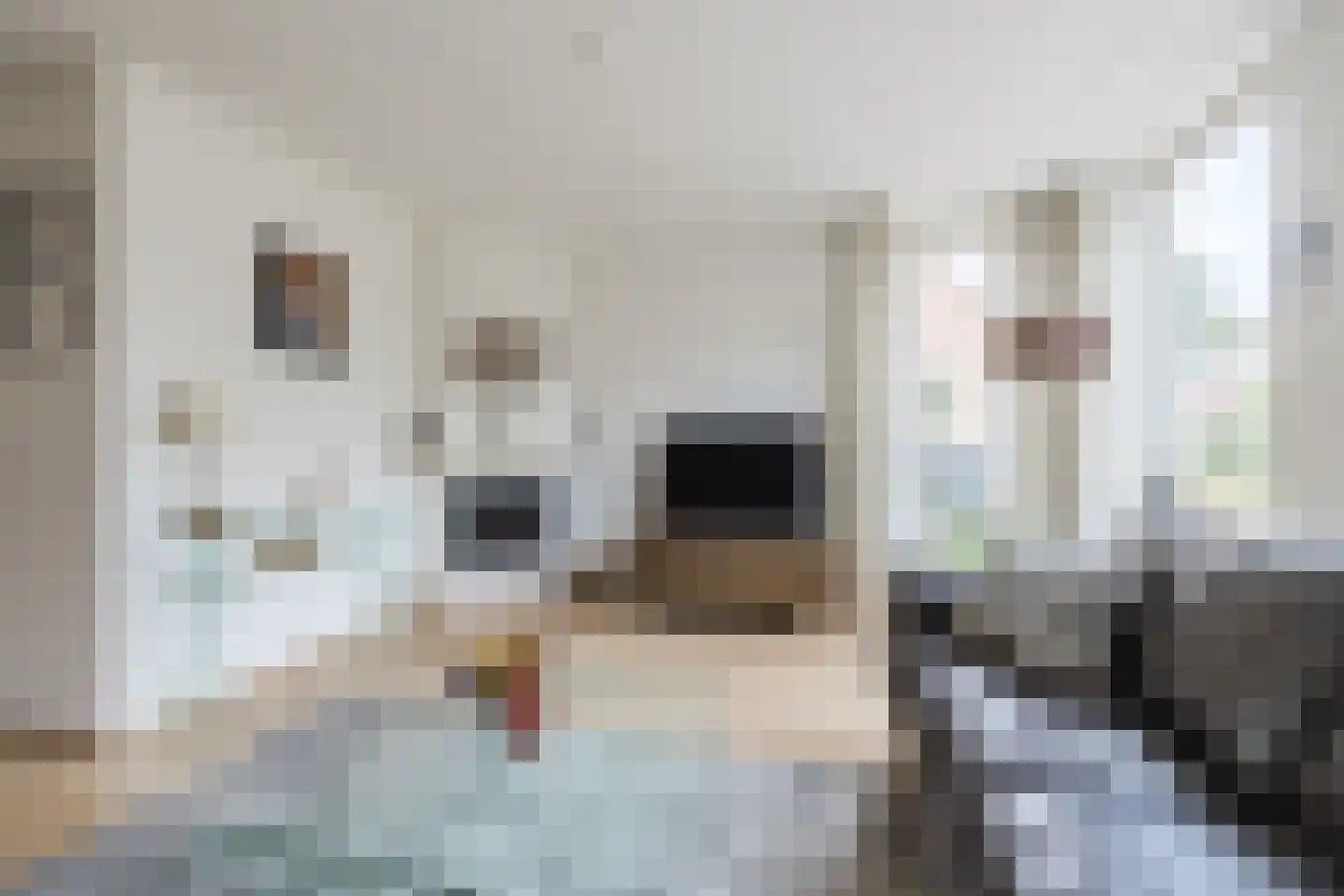 Roggekamp 10 Hoogeveen thumbnail 13