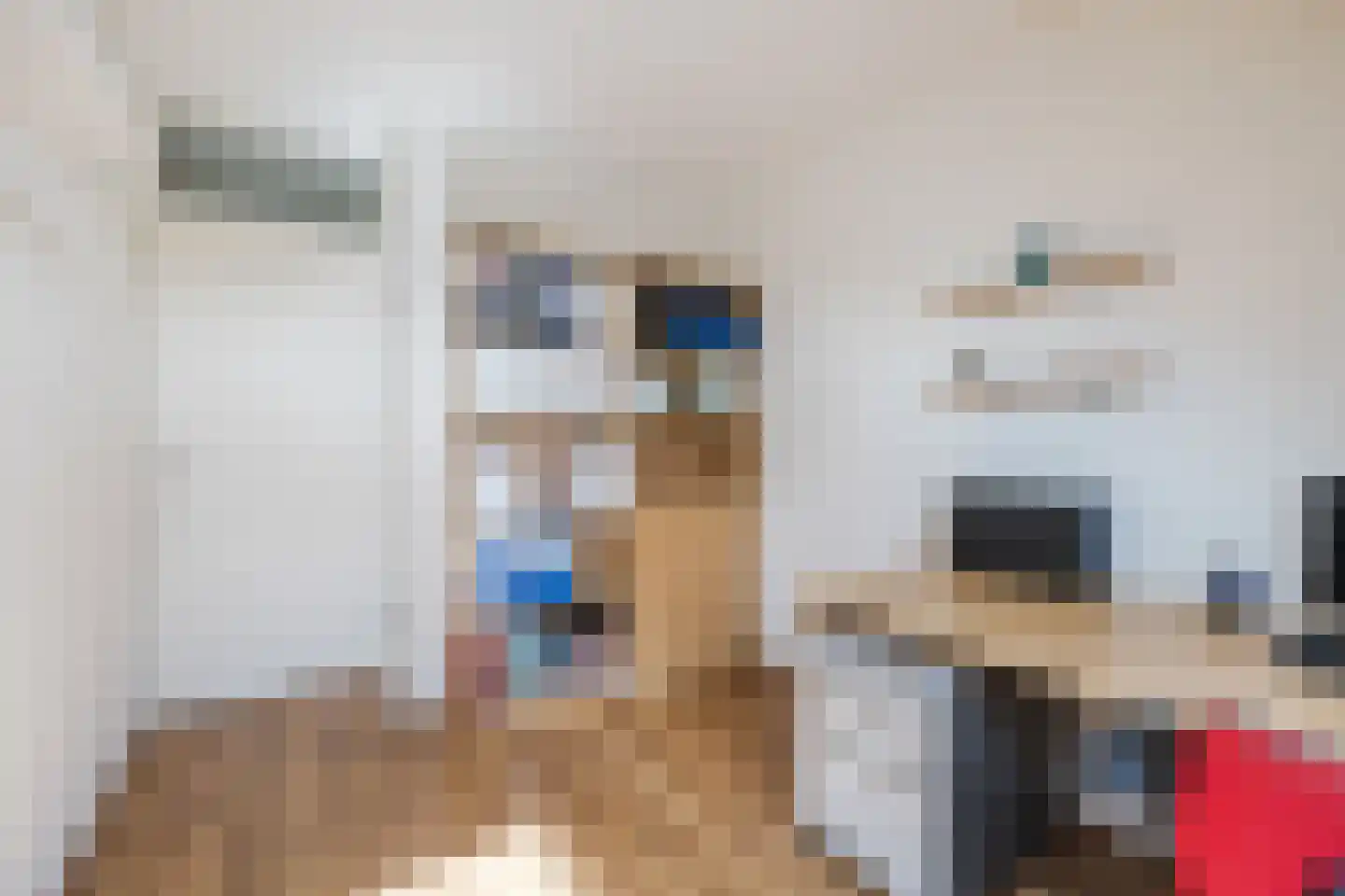 Roggekamp 10 Hoogeveen thumbnail 30
