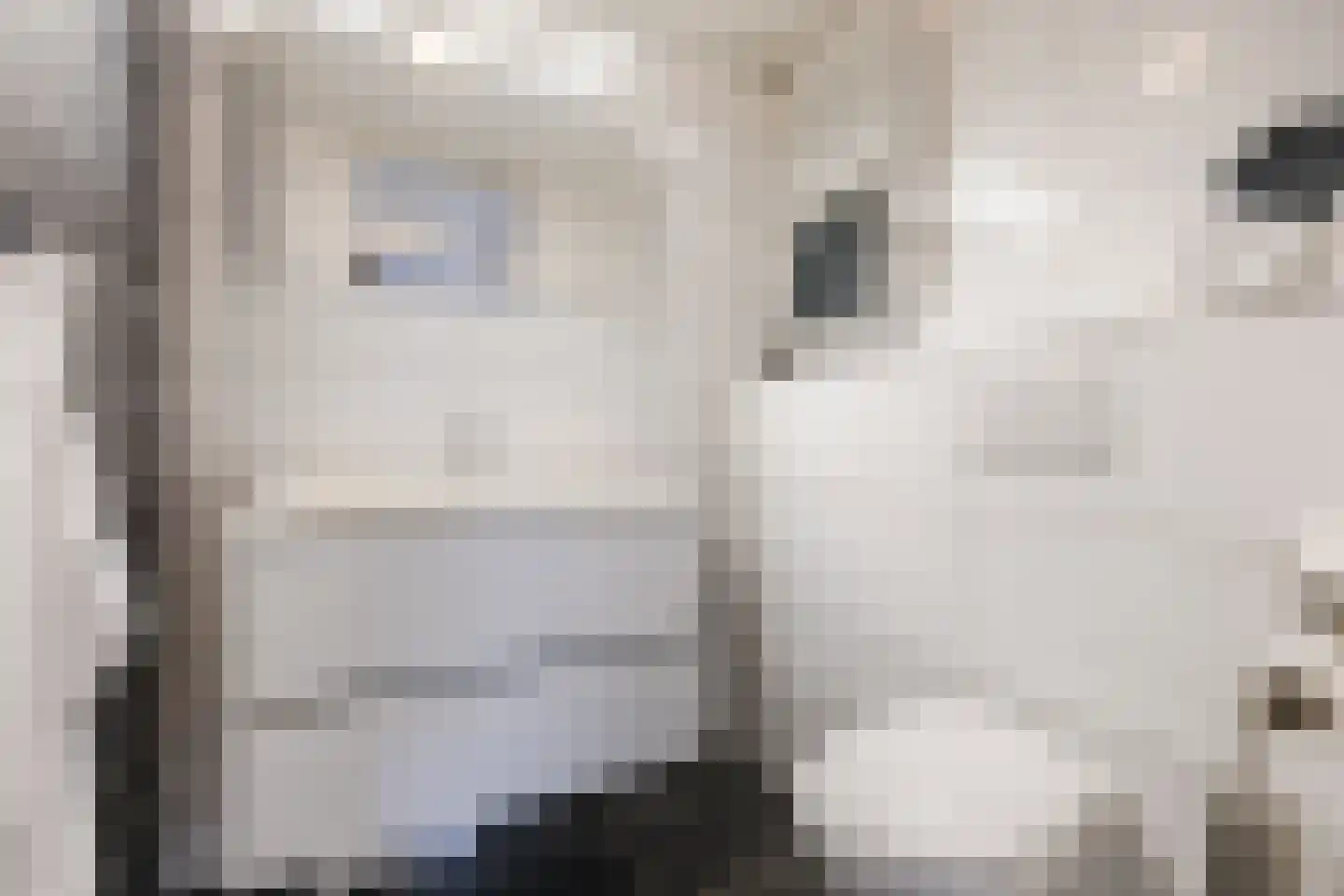 Roggekamp 10 Hoogeveen thumbnail 5