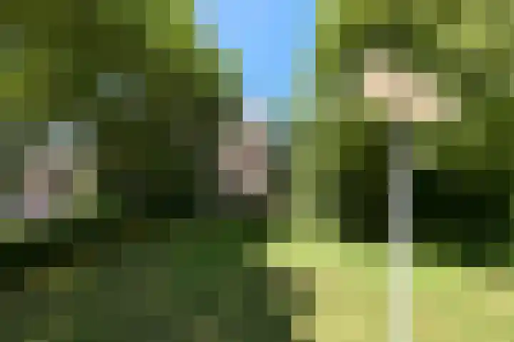 Roggekamp 133 Diemen thumbnail 26