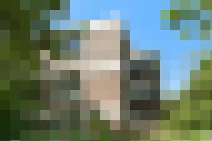 Roggekamp 133 Diemen thumbnail 27