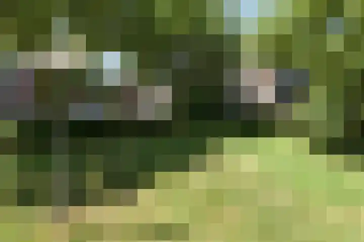 Roggekamp 133 Diemen thumbnail 28