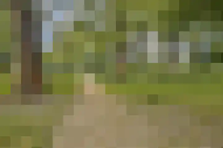 Roggekamp 141 Diemen thumbnail 21