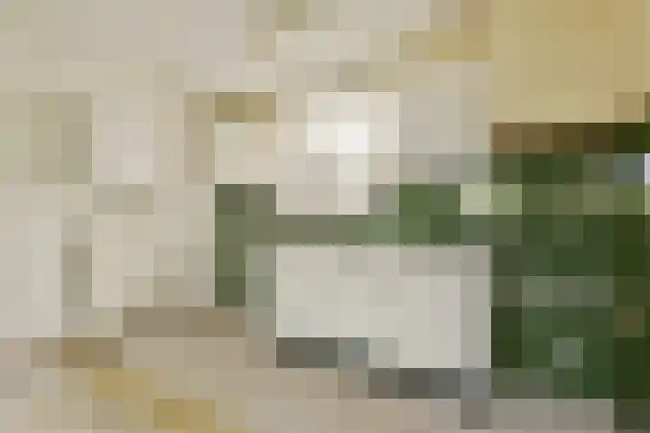 Roggekamp 141 Diemen thumbnail 8