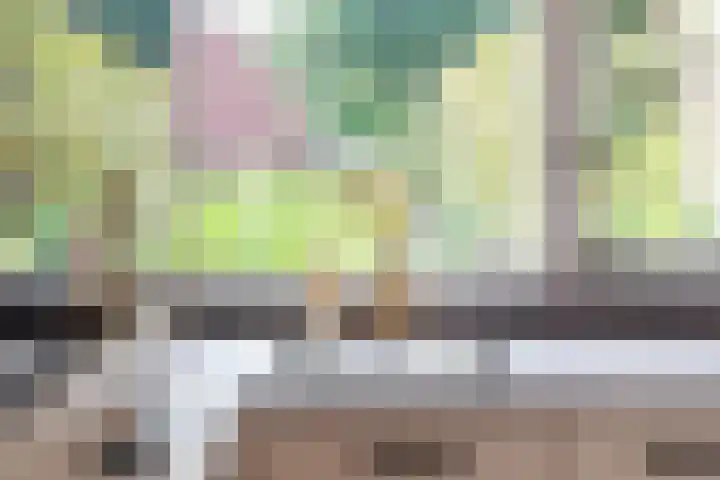 Roggekamp 32 Dinxperlo thumbnail 15