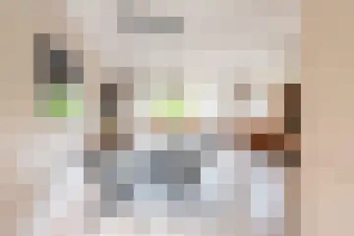 Roggekamp 32 Dinxperlo thumbnail 16