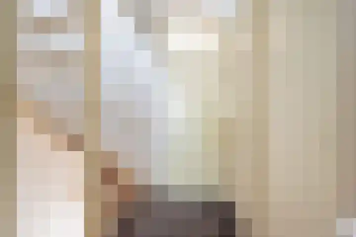 Roggekamp 32 Dinxperlo thumbnail 18