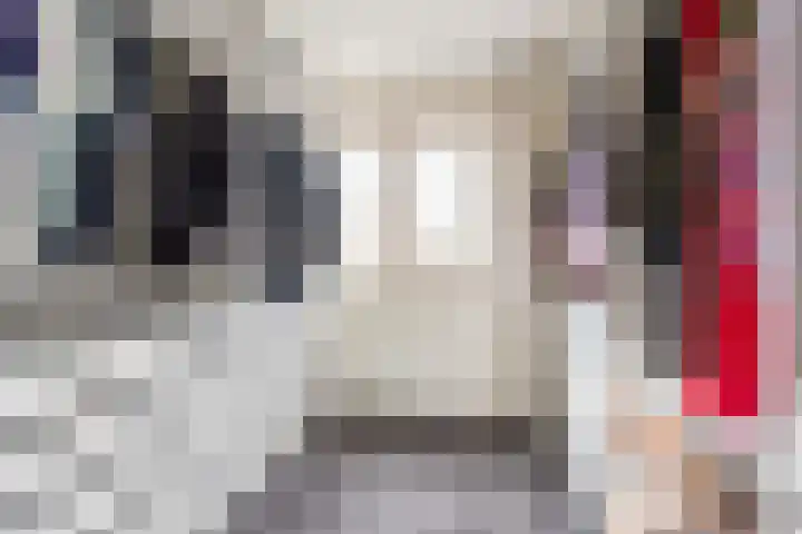 Roggekamp 32 Dinxperlo thumbnail 22
