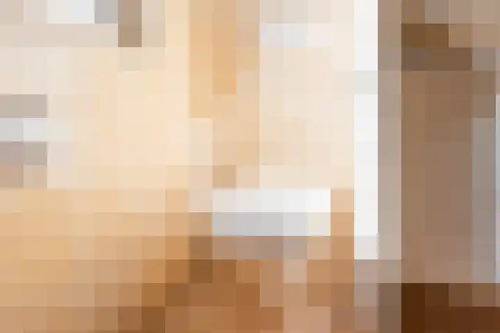 Roggekamp 32 Dinxperlo thumbnail 25