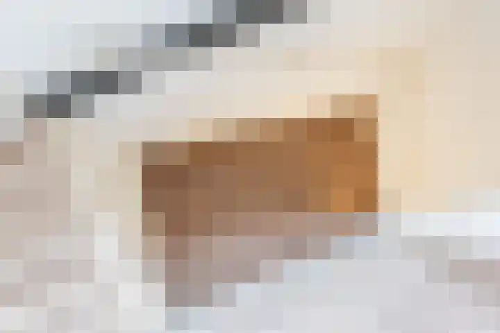 Roggekamp 32 Dinxperlo thumbnail 27
