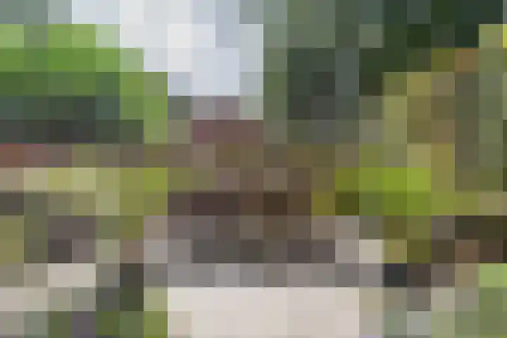 Roggekamp 32 Dinxperlo thumbnail 33