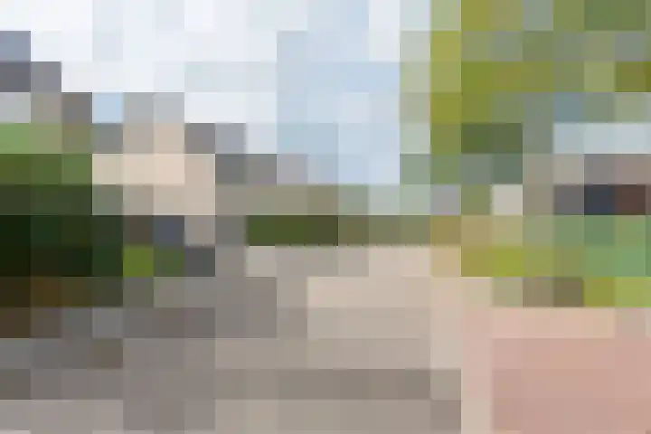 Roggekamp 32 Dinxperlo thumbnail 37