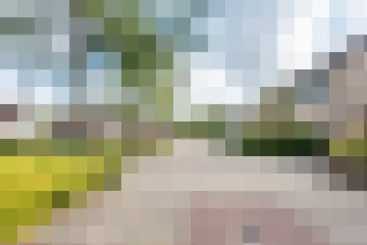 Roggekamp 32 Dinxperlo thumbnail 38