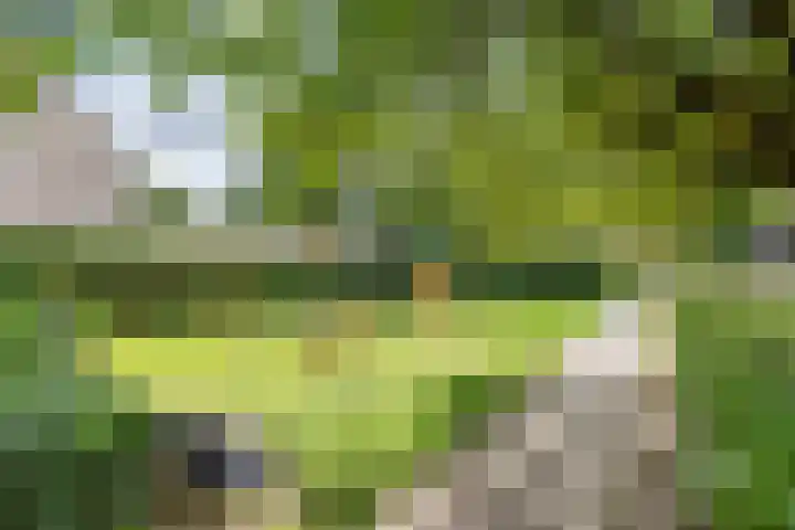 Roggekamp 32 Dinxperlo thumbnail 39