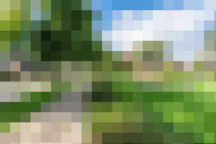 Roggekamp 32 Dinxperlo thumbnail 40