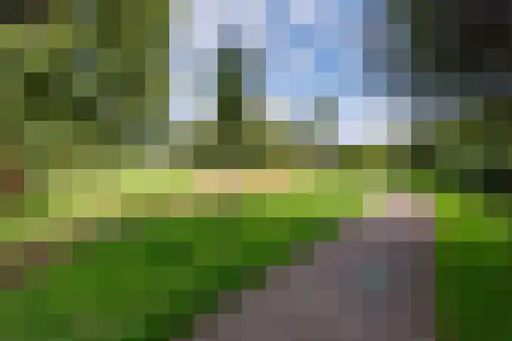 Roggekamp 32 Dinxperlo thumbnail 41