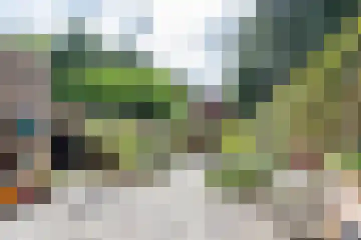 Roggekamp 32 Dinxperlo thumbnail 5