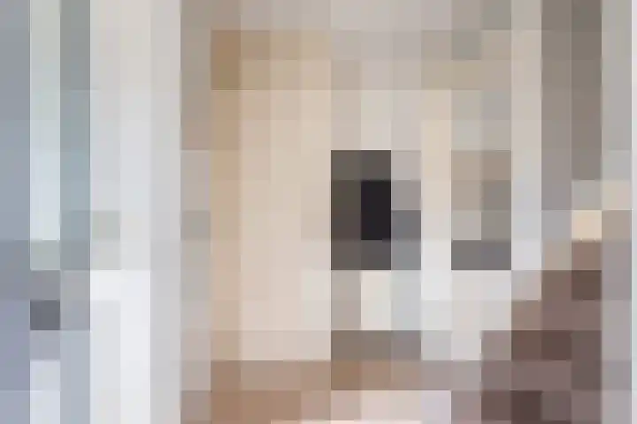 Roggekamp 32 Dinxperlo thumbnail 9