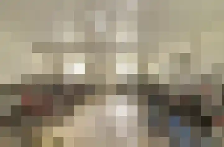 Roggekamp 325 Den Haag thumbnail 22