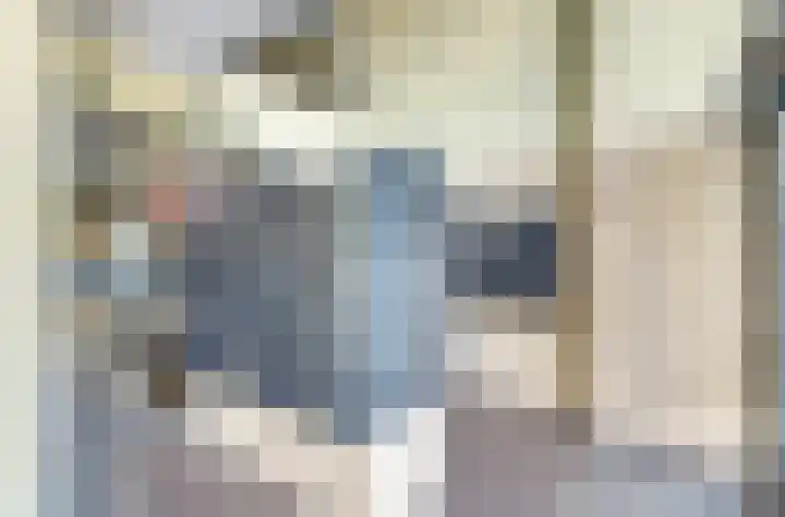 Roggekamp 325 Den Haag foto 3