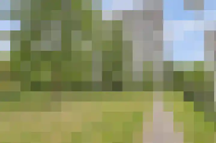 Roggekamp 331 Den Haag