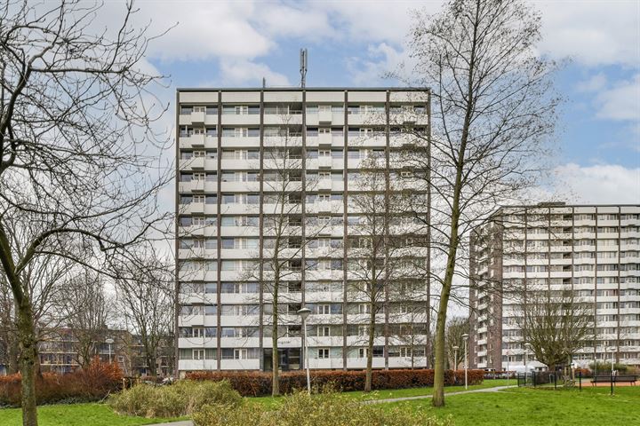 Roggekamp 355 in 's-Gravenhage photo