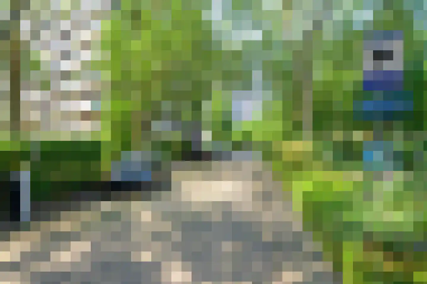 Roggekamp 369 Den Haag thumbnail 21