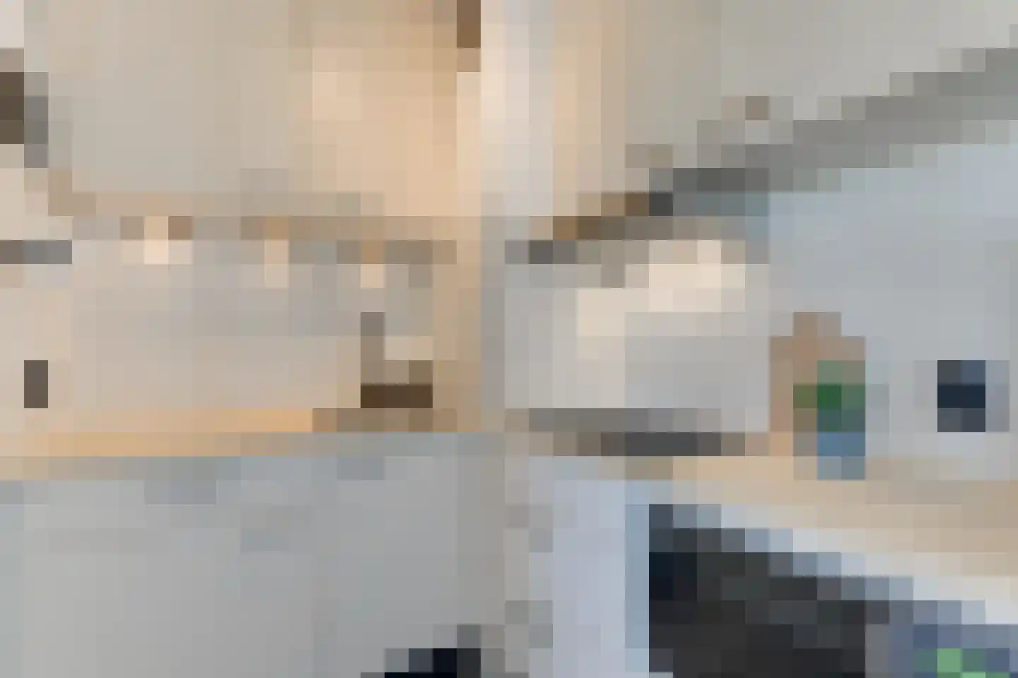 Roggekamp 369 Den Haag thumbnail 8