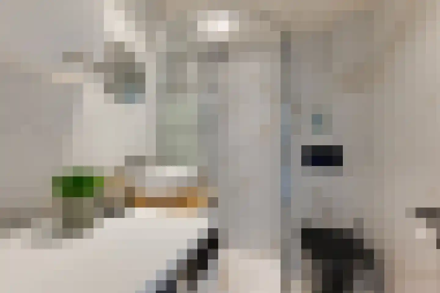 Roggekamp 369 Den Haag thumbnail 9