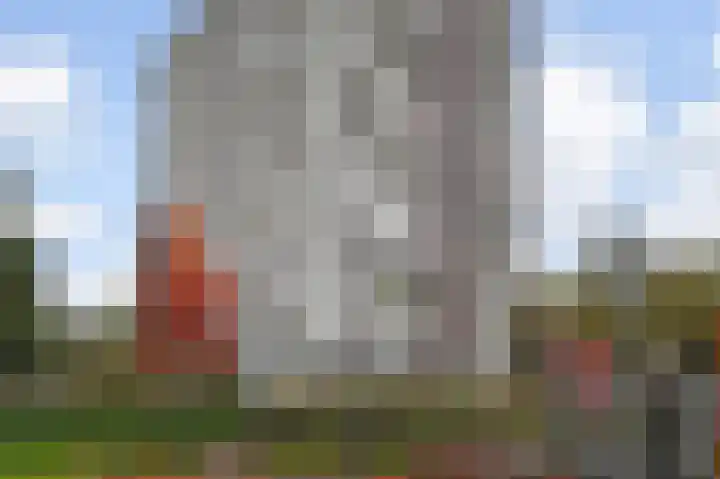 Roggekamp 383 Den Haag thumbnail 27
