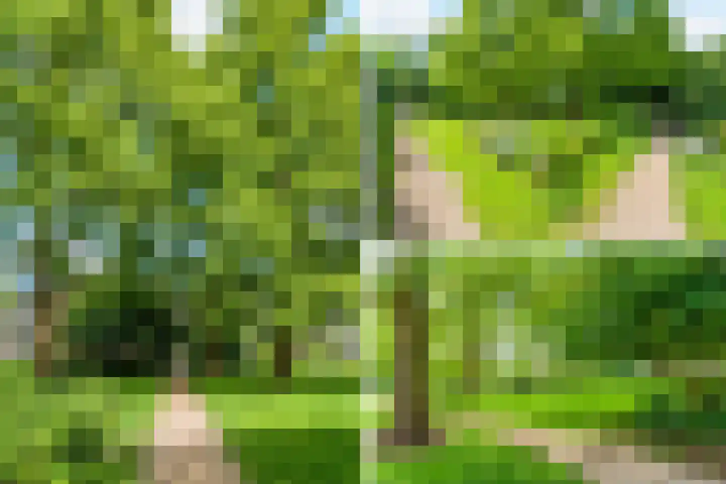 Roggekamp 55 Diemen thumbnail 56